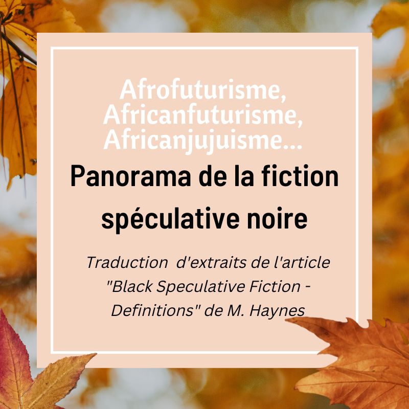 Afrofuturisme en France : lexique et réflexion