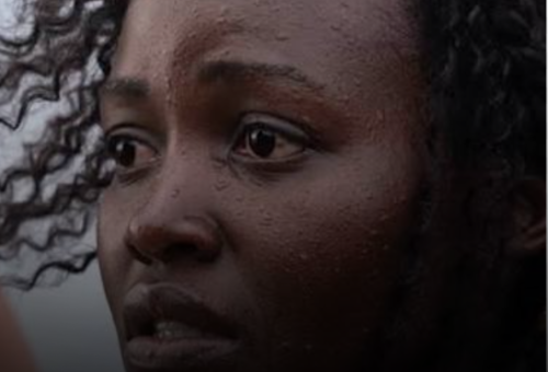 Les femmes afrodescendantes dans L’Odyssée